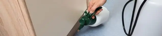 Bed bug exterminator treating baseboards and cracks with targeted spray in Louisville, KY