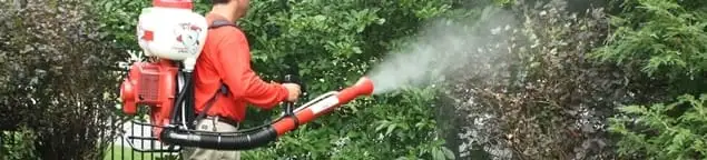 Mosquito control technician fogging shrubs and landscaping for mosquito treatment in Louisville, KY