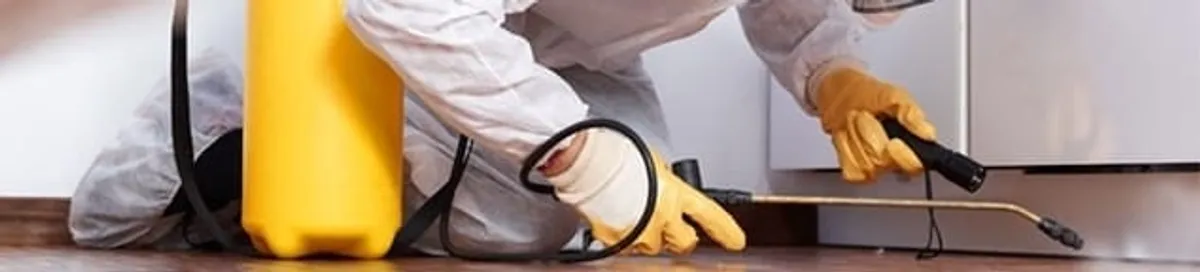 Roach exterminator treating cracks and crevices along kitchen baseboards in Louisville, KY