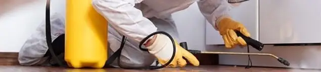 Roach exterminator treating cracks and crevices along kitchen baseboards in Louisville, KY