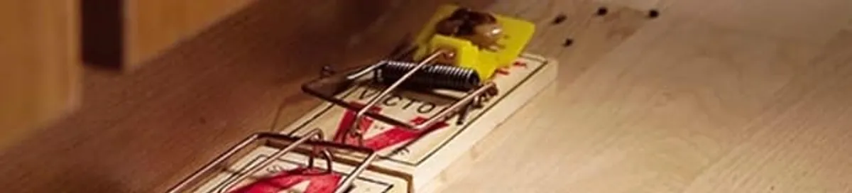Rodent trap set indoors for rodent control and prevention in Louisville, KY